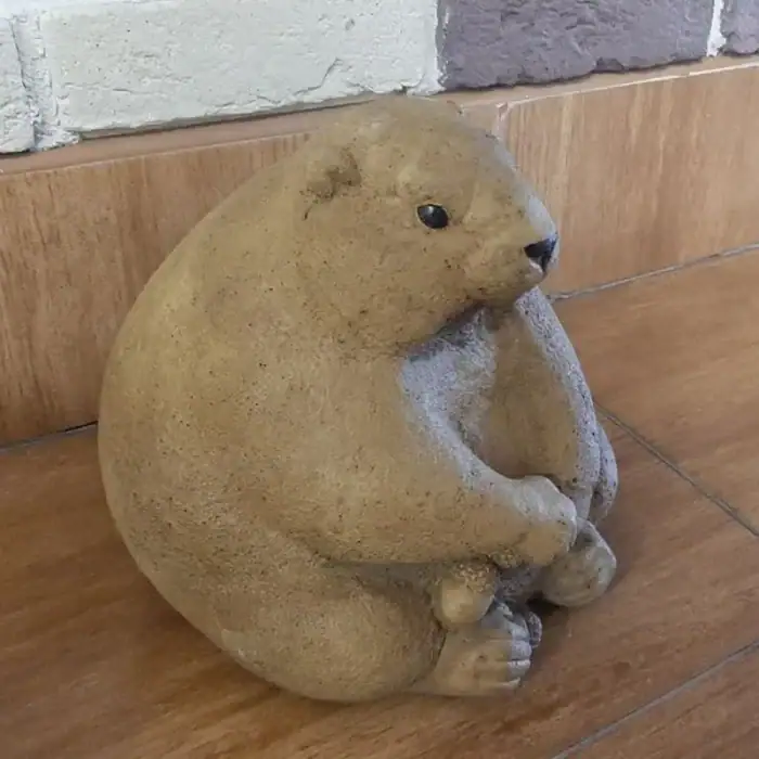 Бабак Рокі