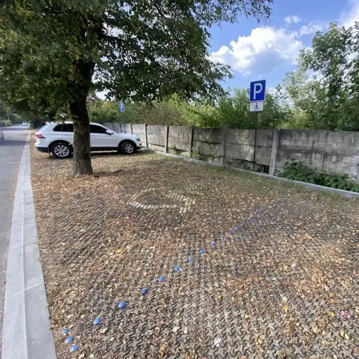 Модуль геопокриття пластиковий EasyPave