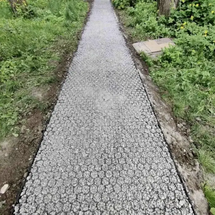 Модуль геопокриття пластиковий HexPave
